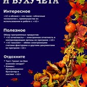 Net Consult
